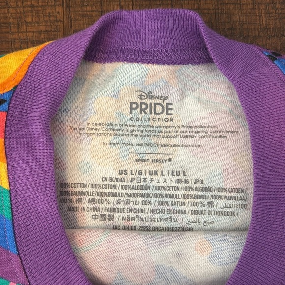 New Disney Pride Mickey Mouse Spirit Jersey For Adults - Picture 5 of 11